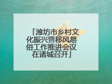 潍坊市乡村文化振兴暨移风易俗工作推进会议在诸城召开