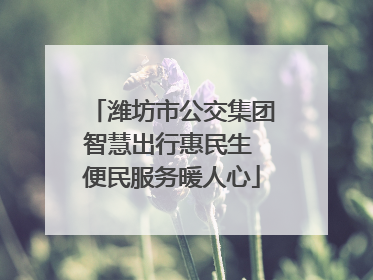 潍坊市公交集团智慧出行惠民生 便民服务暖人心