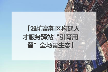 潍坊高新区构建人才服务驿站“引育用留”全场景生态