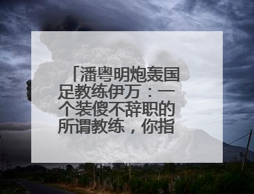潘粤明炮轰国足教练伊万：一个装傻不辞职的所谓教练，你指望它拯救中国足球！此前曾多次发文评价国足