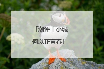 潮评丨小城何以正青春