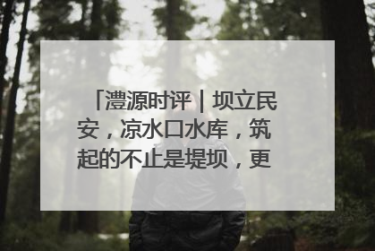 澧源时评｜坝立民安，凉水口水库，筑起的不止是堤坝，更是民心长城