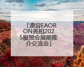 澳容EAORON亮相2025服贸会展前推介交流会