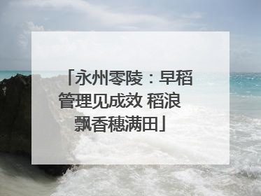 永州零陵：早稻管理见成效 稻浪飘香穗满田