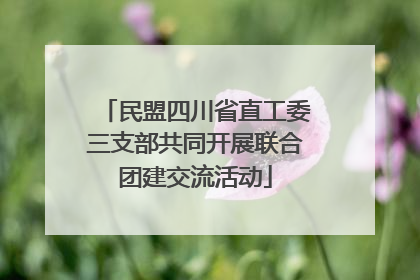 民盟四川省直工委三支部共同开展联合团建交流活动