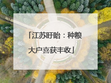 江苏盱眙：种粮大户喜获丰收