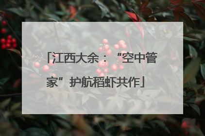 江西大余：“空中管家”护航稻虾共作