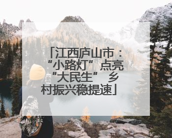 江西庐山市：“小路灯”点亮“大民生” 乡村振兴稳提速