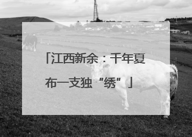江西新余：千年夏布一支独“绣”