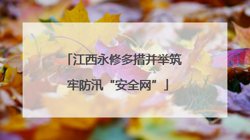 江西永修多措并举筑牢防汛“安全网”