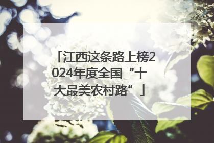 江西这条路上榜2024年度全国“十大最美农村路”