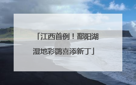 江西首例！鄱阳湖湿地彩鹮喜添新丁