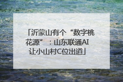 沂蒙山有个“数字桃花源”：山东联通AI让小山村C位出道