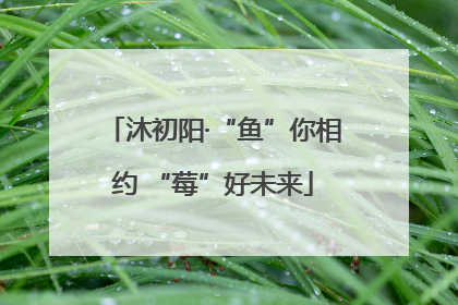 沐初阳·“鱼”你相约 “莓”好未来