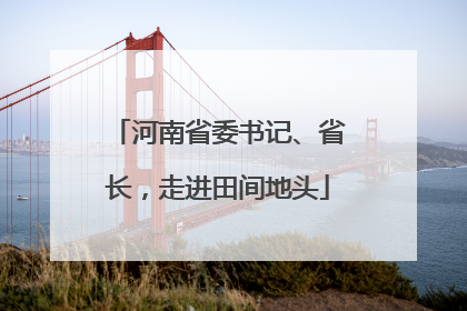河南省委书记、省长，走进田间地头