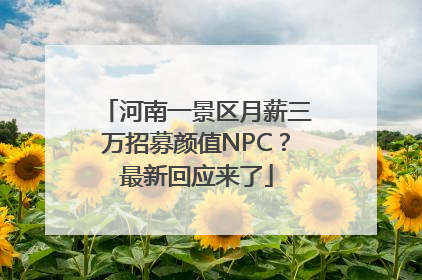 河南一景区月薪三万招募颜值NPC？最新回应来了