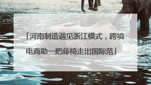 河南制造遇见浙江模式，跨境电商助一把藤椅走出国际范