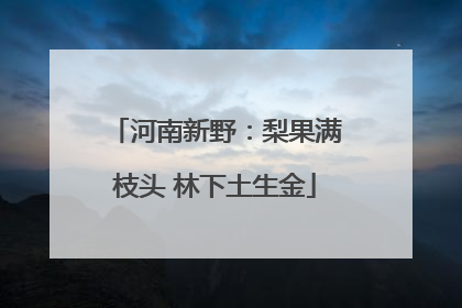 河南新野：梨果满枝头 林下土生金