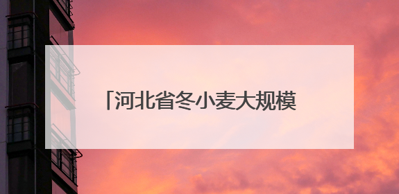 河北省冬小麦大规模机收工作全面启动