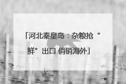 河北秦皇岛：杂粮抢“鲜”出口 俏销海外