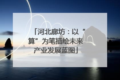 河北廊坊：以“算”为笔描绘未来产业发展蓝图