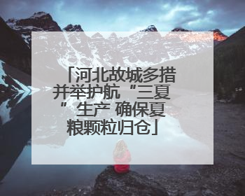 河北故城多措并举护航“三夏”生产 确保夏粮颗粒归仓