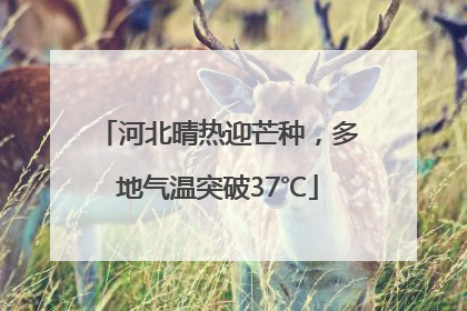 河北晴热迎芒种，多地气温突破37℃