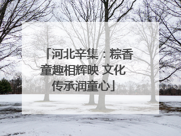 河北辛集：粽香童趣相辉映 文化传承润童心
