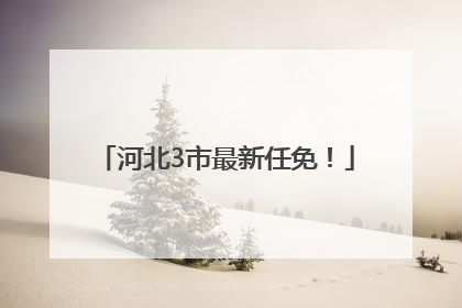 河北3市最新任免！