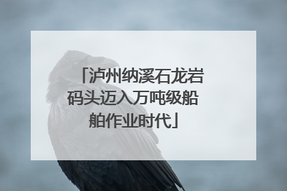 泸州纳溪石龙岩码头迈入万吨级船舶作业时代