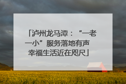 泸州龙马潭：“一老一小”服务落地有声 幸福生活近在咫尺