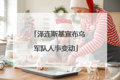 泽连斯基宣布乌军队人事变动