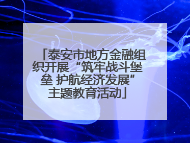 泰安市地方金融组织开展“筑牢战斗堡垒 护航经济发展”主题教育活动