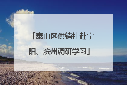 泰山区供销社赴宁阳、滨州调研学习