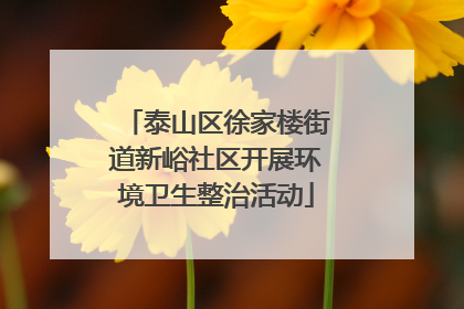 泰山区徐家楼街道新峪社区开展环境卫生整治活动
