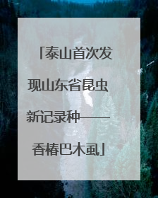 泰山首次发现山东省昆虫新记录种——香椿巴木虱