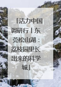 活力中国调研行丨东莞松山湖：荔枝园里长出来的科学城
