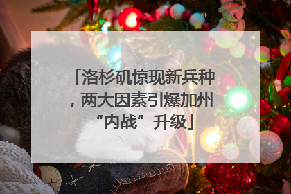 洛杉矶惊现新兵种，两大因素引爆加州“内战”升级