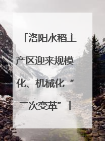 洛阳水稻主产区迎来规模化、机械化“二次变革”