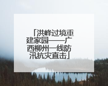 洪峰过境重建家园——广西柳州一线防汛抗灾直击