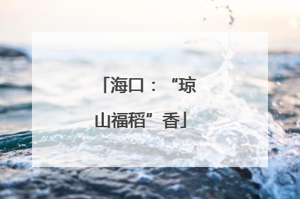 海口：“琼山福稻”香