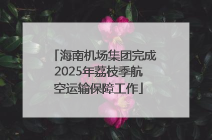 海南机场集团完成2025年荔枝季航空运输保障工作
