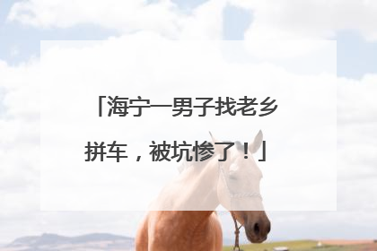 海宁一男子找老乡拼车，被坑惨了！