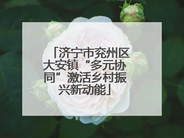 济宁市兖州区大安镇“多元协同”激活乡村振兴新动能