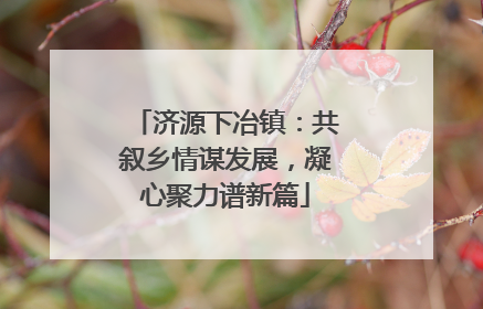济源下冶镇：共叙乡情谋发展，凝心聚力谱新篇