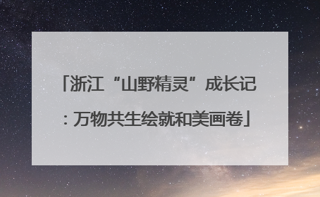 浙江“山野精灵”成长记：万物共生绘就和美画卷