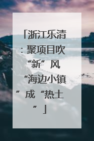 浙江乐清：聚项目吹“新”风 “海边小镇”成“热土”