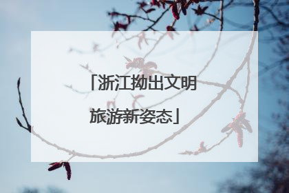 浙江拗出文明旅游新姿态