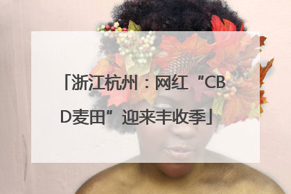 浙江杭州：网红“CBD麦田”迎来丰收季