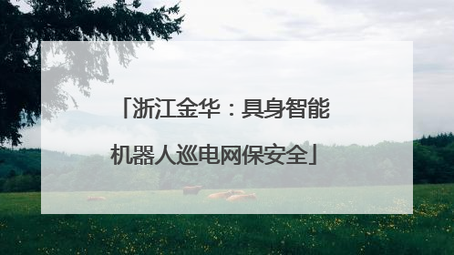 浙江金华：具身智能机器人巡电网保安全